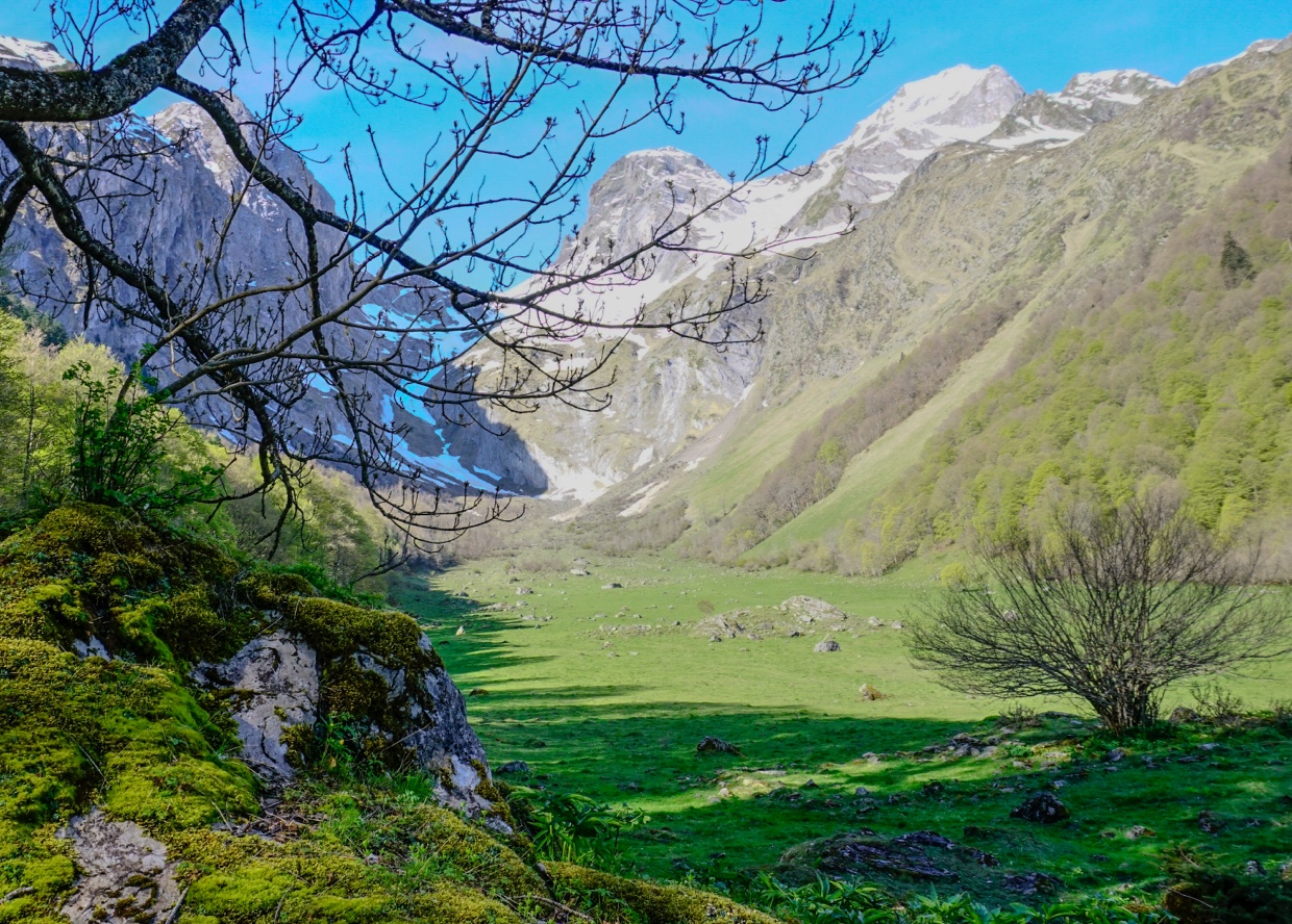 Paisaje exterior