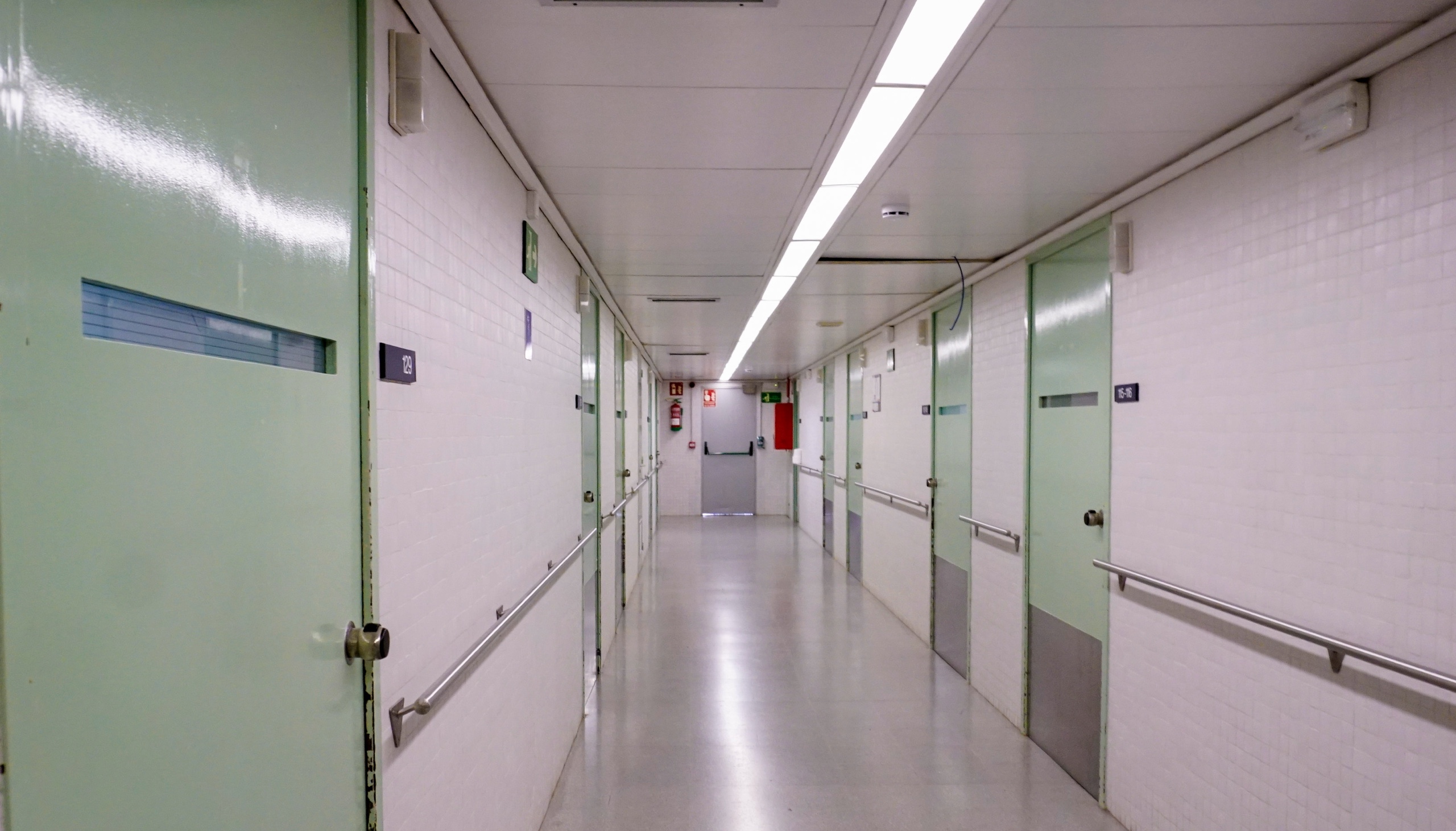 Dmente - imagen cocina