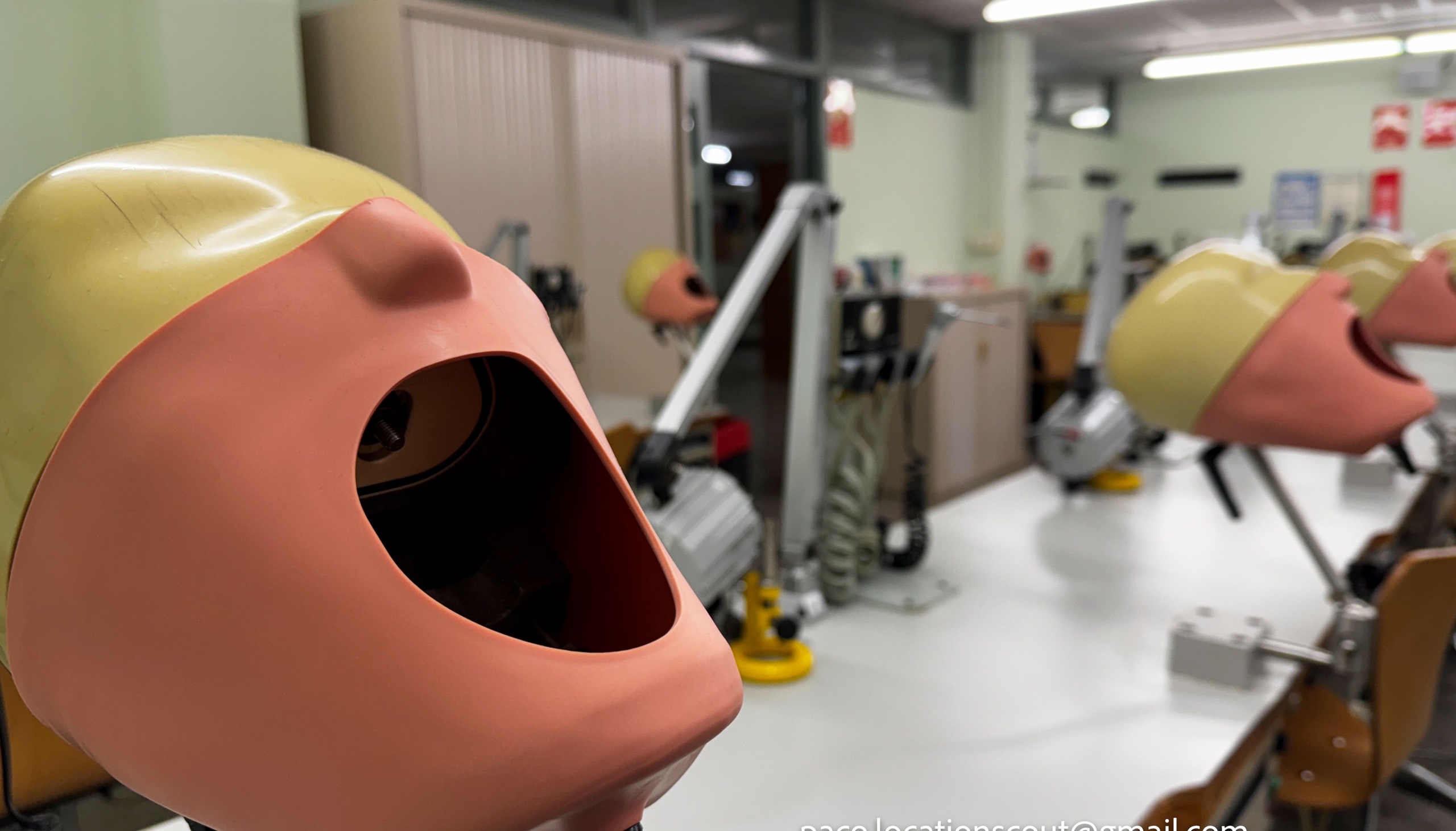 Dmente - imagen cocina