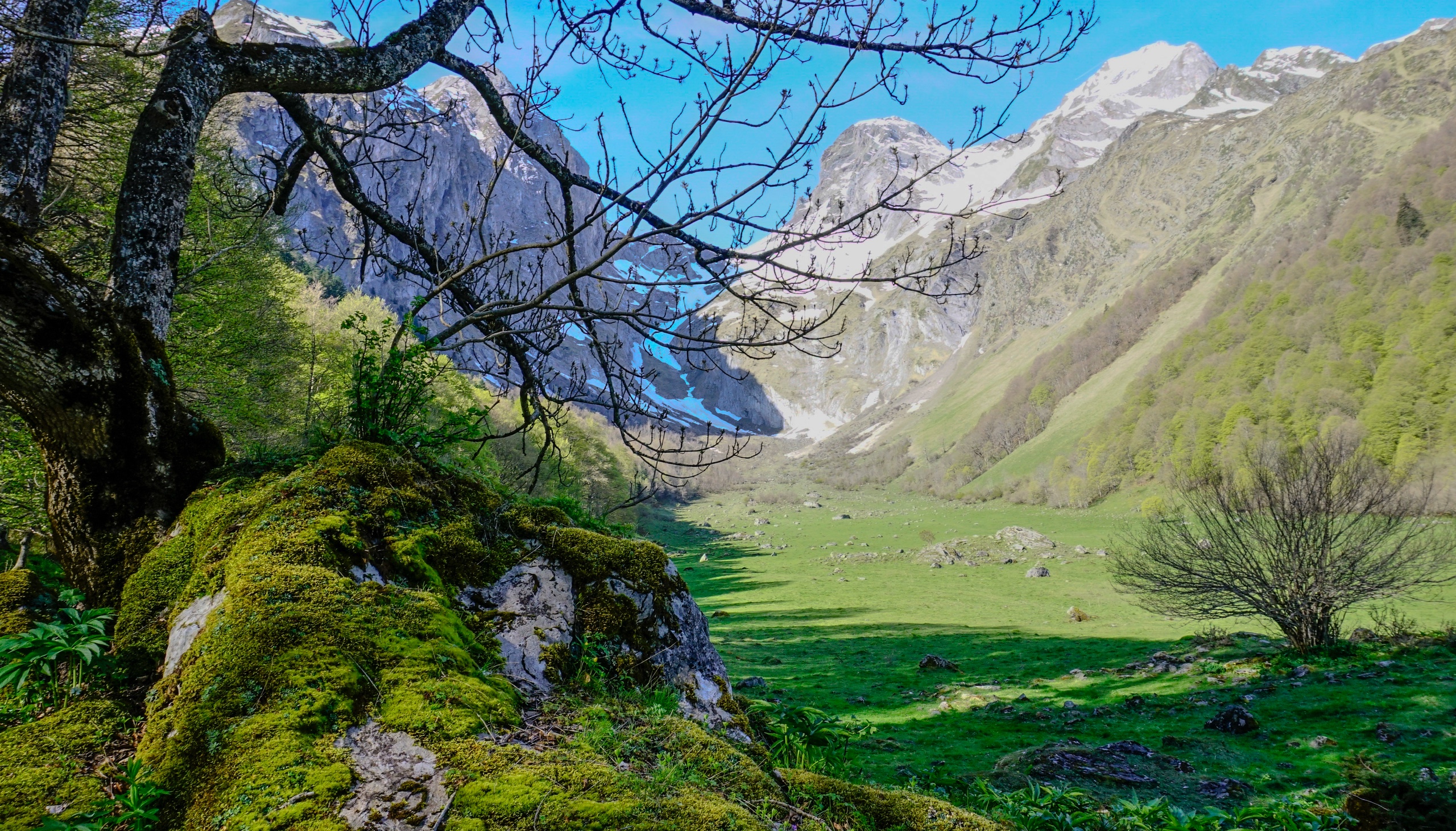 Dmente - imagen cocina